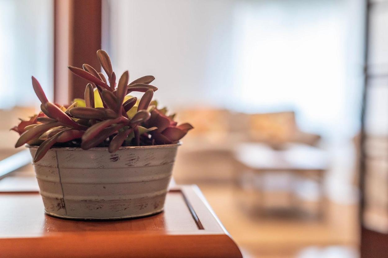 Funcional Y Renovado Apartamento En Iturrama 潘普洛纳 外观 照片
